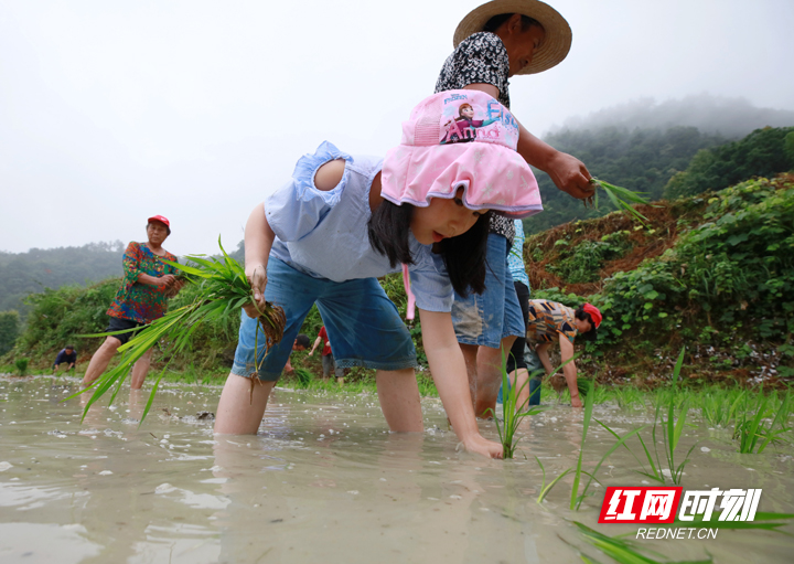 来张家界武陵源体验乡村民宿旅游乐趣 感受田园生活