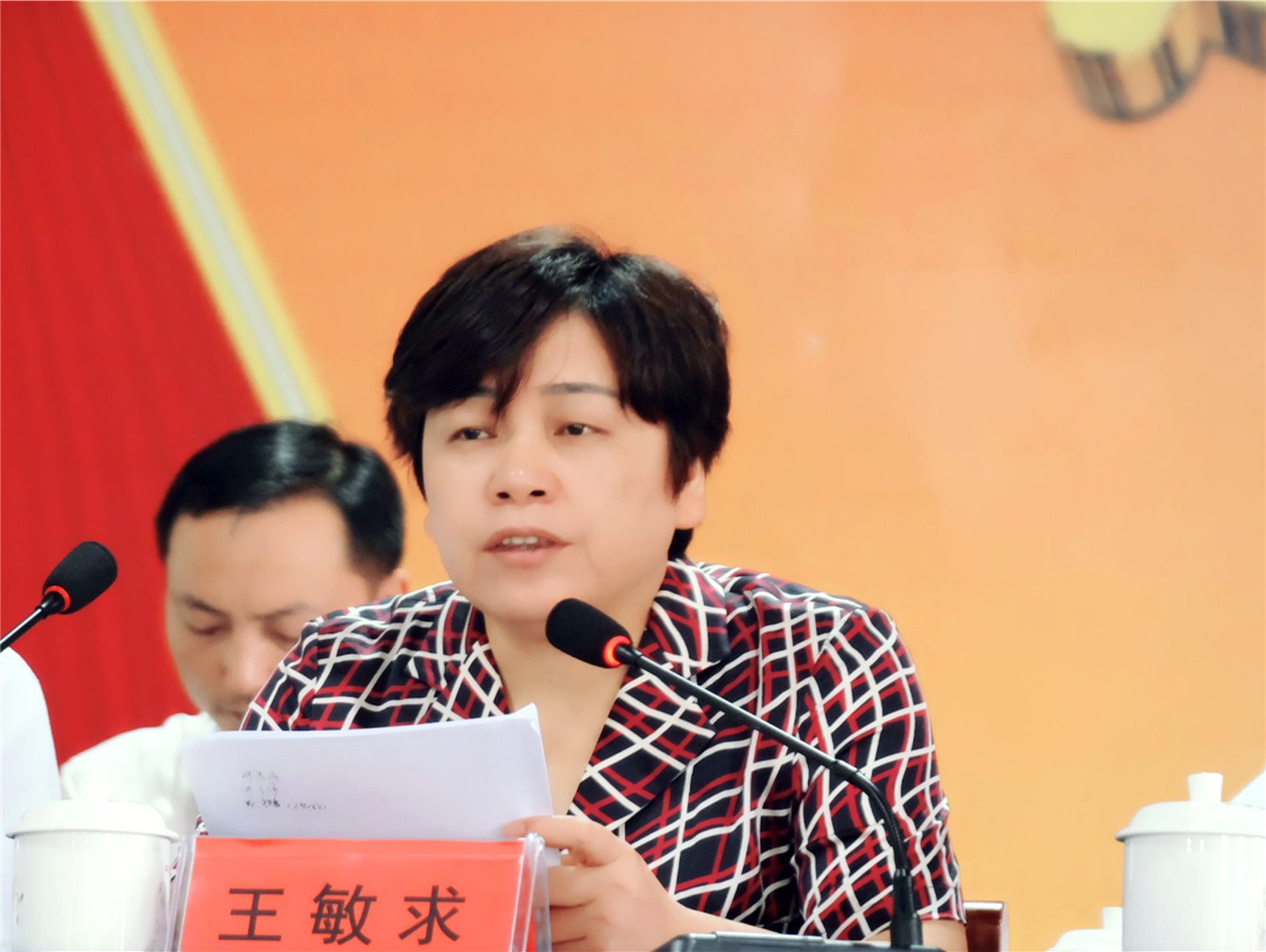 王敏求_副本.jpg 王敏求_副本.jpg