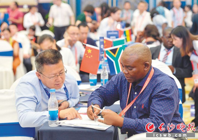 　　←中非经贸合作磋商会上，一名非洲代表正在与一名中国企业代表进行磋商。 长沙晚报全媒体记者 邹麟 摄