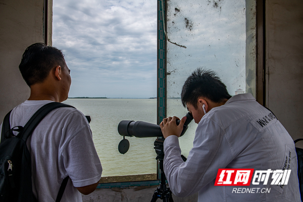 2019-06-30江豚协会湘阴江豚湾调研027.jpg