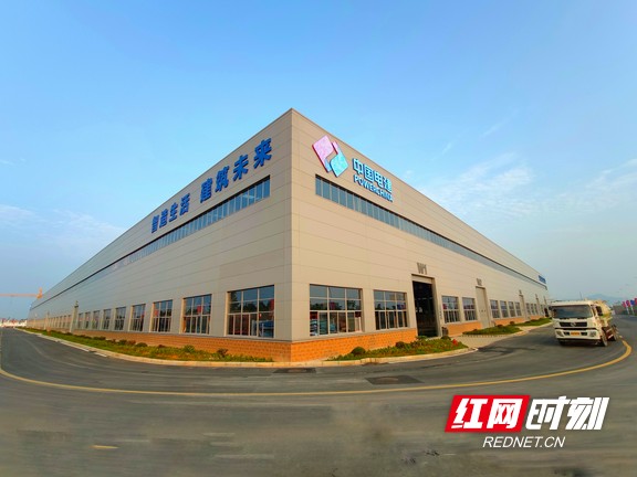 11.marked.jpg 11.marked.jpg