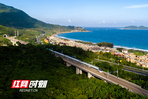 动车大海.jpg