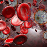 药物与基因魔剪联手可绞杀HIV，小鼠治疗五周后未检出病毒