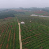 冷水滩蔡市镇：土地流转让农民“坐土生金”