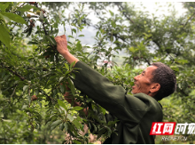 慢火车下的村庄①丨家里装上了空调 还想看看外面的世界