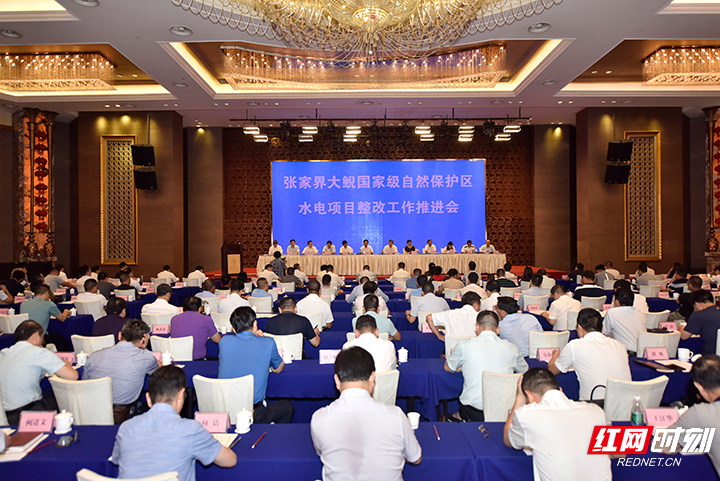 张家界大鲵国家级自然保护区水电项目整改工作推进会召开