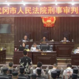 武冈法院对“风云会”恶势力 犯罪集团进行集中宣判