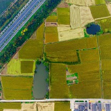 优先发展农业农村的现实路径