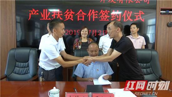 桑植县澧源镇：社企合作促发展