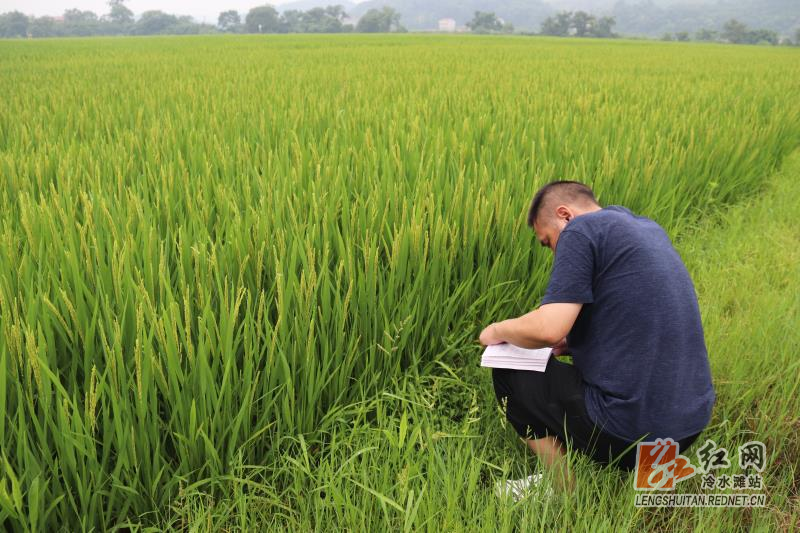 微信图片_20190704110755.jpg 微信图片_20190704110755.jpg