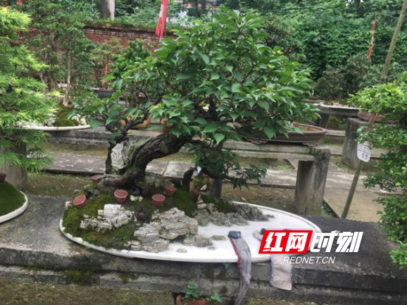 傲游浏览器截图20190704170300副本.jpg