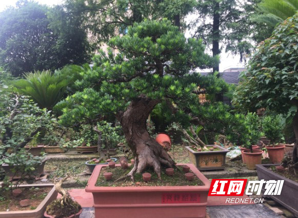 傲游浏览器截图20190704170031副本.jpg