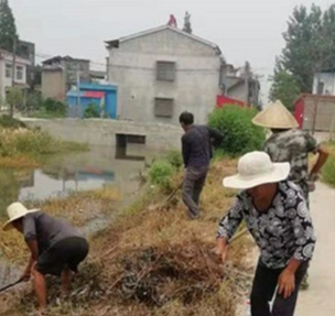 南县：干群联动 全力推进人居环境整治