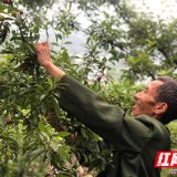 看得见变化,望得见小康,守得住乡愁