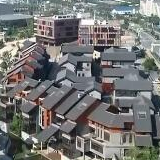“黄文秀们”从这里走来——访北京师范大学选调生群体