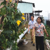 网格故事丨顶楼种菜隐患重重 网格长发力啃下硬骨头