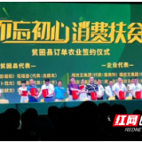 保靖茶商热议保靖黄金茶公益广告亮相中央电视台