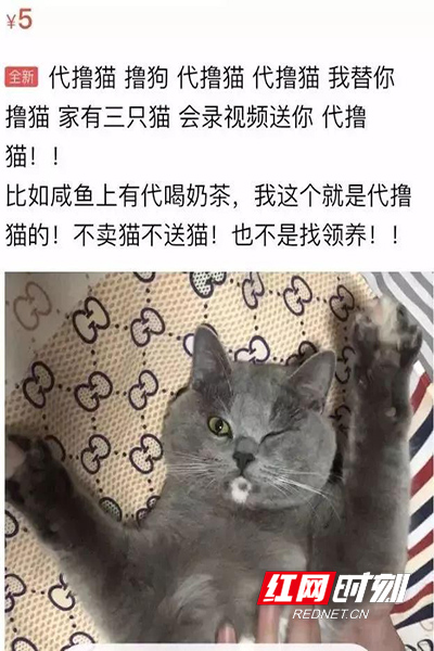 437604917副本.jpg