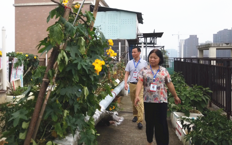 微信图片_20190705133811.png 微信图片_20190705133811.png