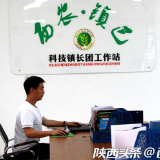 镇巴有个博士硕士科技镇长团 用农业科技助力脱贫攻坚