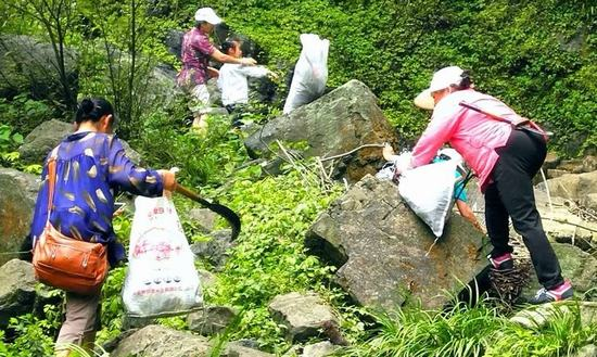 慈利县：垃圾捡拾小行动，文明旅游大作为