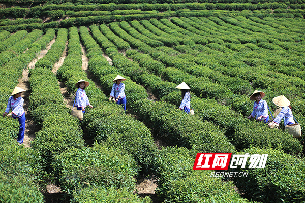 ????_20190708171826.jpg ????_20190708171826.jpg