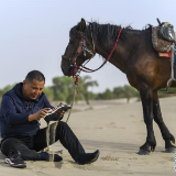 守护“沙漠英雄树”