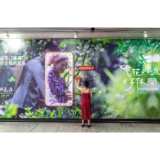 从明天起 在桃花源做一个幸福的人
