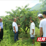 长沙望城区对口帮扶龙山洗车河镇：技术帮扶促脱贫 