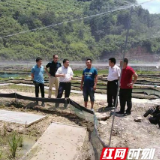 凤凰：积极推进科技下乡 助推全县脱贫攻坚