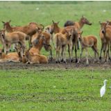 【中国那些事儿】中国两地双双申遗成功 世界遗产总数世界第一
