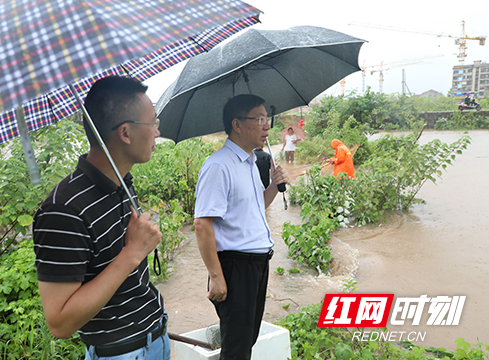 石鼓区:严阵以待 确保万无一失安全度汛