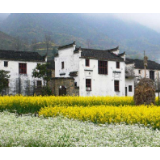 美丽乡村建设不能简单“刷白墙”