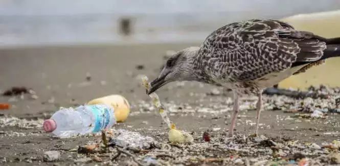 1562493278614687.jpg?x-oss-process=style/w10