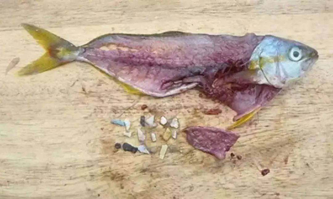 1562493418272856.jpg?x-oss-process=style/w10