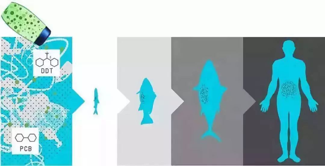 1562493398832638.jpg?x-oss-process=style/w10