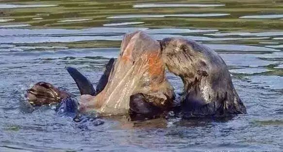 1562493345698570.jpg?x-oss-process=style/w10