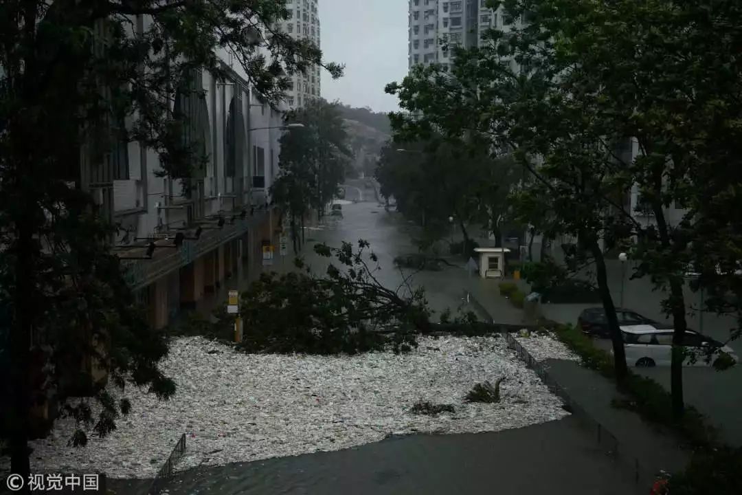 1562492989824070.jpg?x-oss-process=style/w10