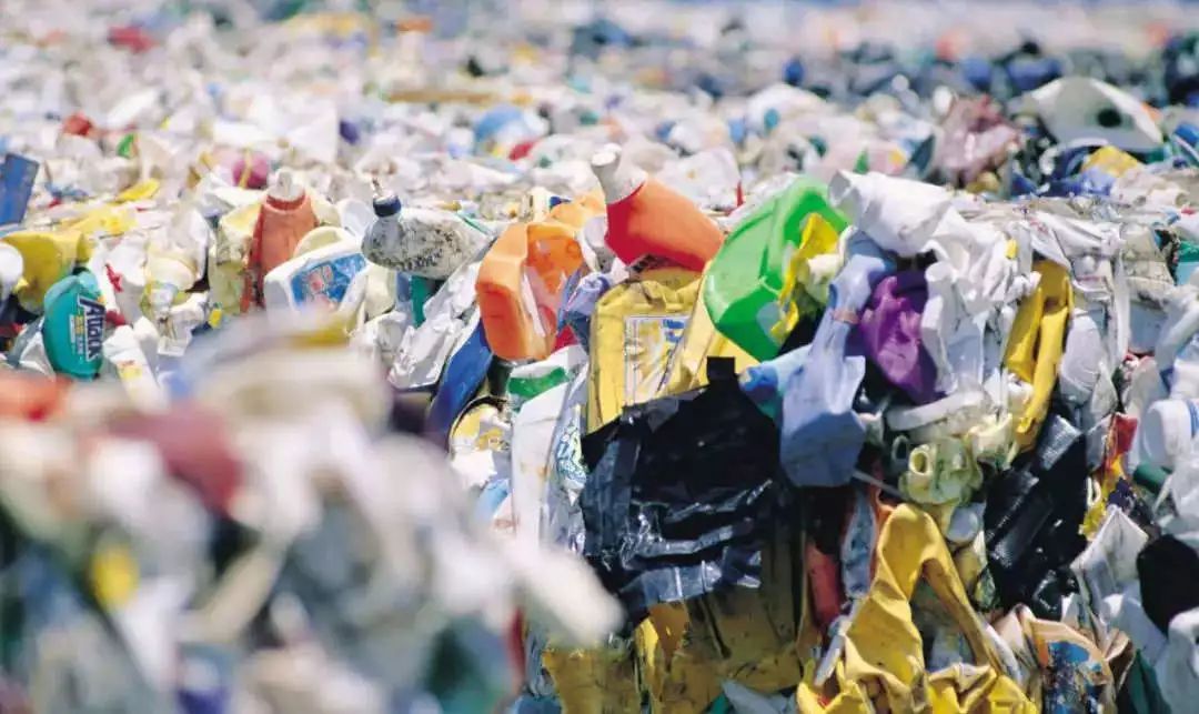 1562493141615296.jpg?x-oss-process=style/w10