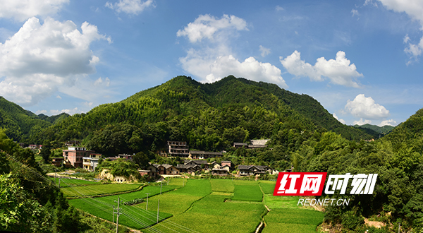 ????_20190708171831.jpg ????_20190708171831.jpg