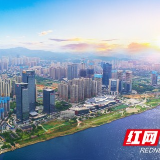 战略向上 楼宇经济成岳麓高质量发展新引擎