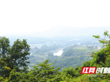重走解放路：攀树藤搭钩子，解放军奇袭狮子山