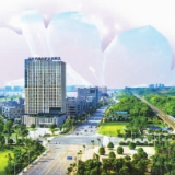 智造雨花 美丽绽放