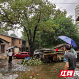 蛛丝马迹不遗漏 防汛排查弦紧绷