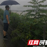 他们坚守一线 确保社区居民平安度汛