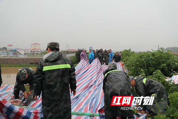红网时刻衡阳7月10日讯(通讯员 陆意 记者 谭倩)灾情就是命令!针对当前强降雨天气,衡阳市蒸湘区委、区政府高度重视、迅速反应,及时启动应急响应。全区各地党员干部闻“汛”而动,众志成城,始终冲在灾情一线,进行抢险救灾,转移受灾群众,确保人民群众生命财产安全。
“严防死守,人在堤在。”7月9日,蒸湘区呆鹰岭镇杉旭河黄美洲段防洪堤出现险情。区、镇、村火速组织抢险,区人武部召集民兵进行支援。装沙袋、扛沙袋,累了就在河堤边休息会,缓一缓再接着干。3小时,1000个沙袋,整齐垒在大坝边上。灾难面前,蒸湘军民团结,干群一心,构成抗洪抢险前线的壮丽风景。