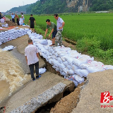 抗洪抢险 双牌县团员青年在一线
