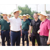 望城全力迎战洪峰 区委书记孔玉成实地检查督导防汛工作