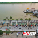 洪峰过境 但这堵墙内，老百姓和900年古树依旧安然