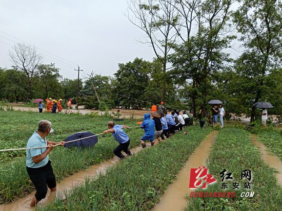 0710_11_副本.jpg